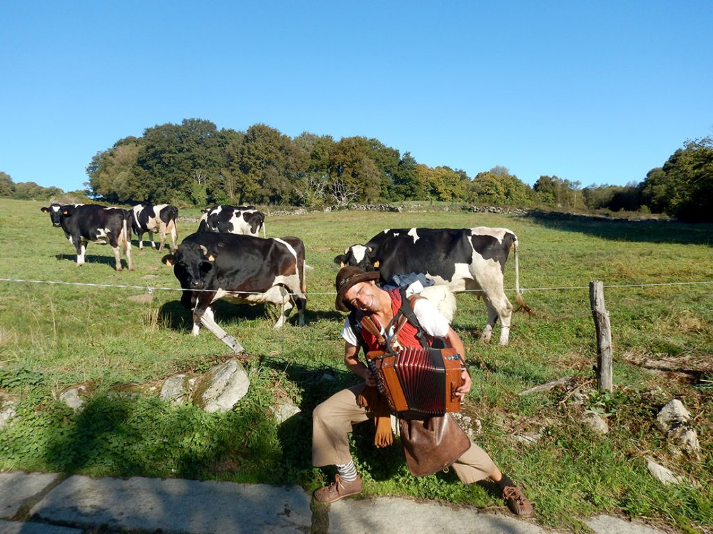 Photo Hunt No. 1-Happy Cows On The Camino