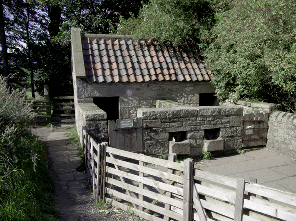 Pig sties, Pockerley Old Hall, Beamish