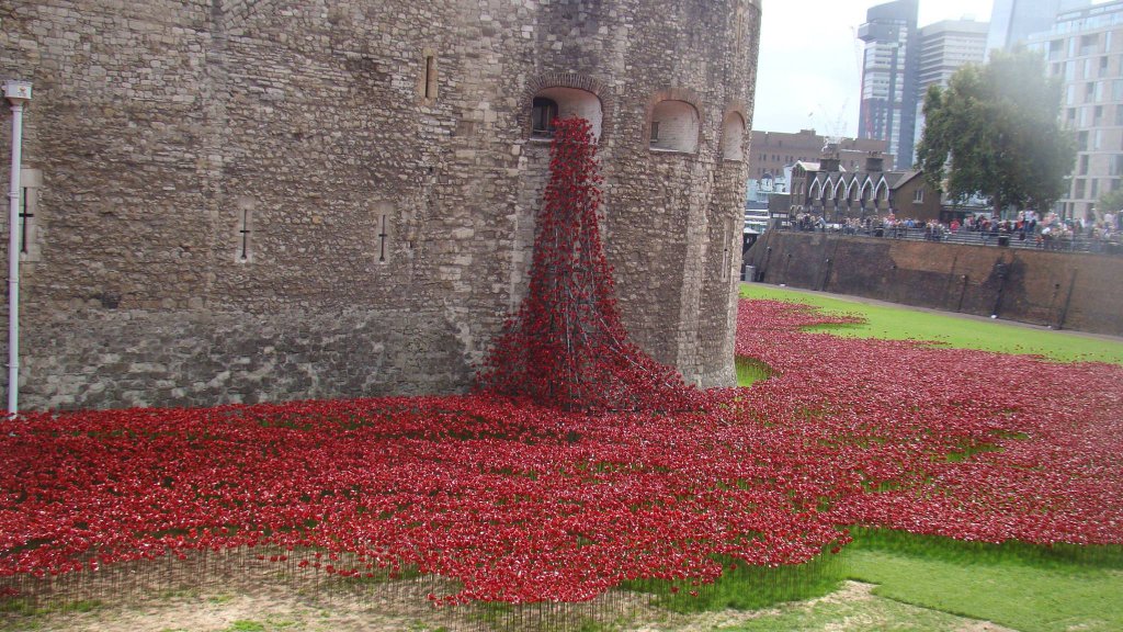 Poppy Installation