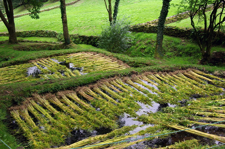 Poul Fetan flax retting pools