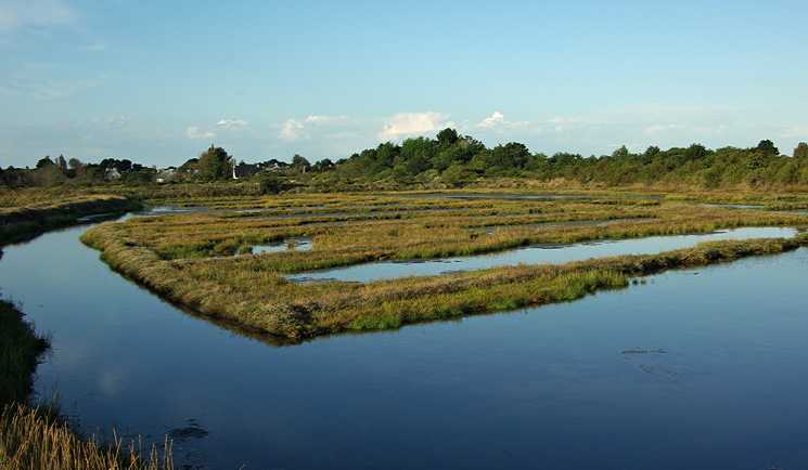 Presqu’île de Rhuys, old salt pans