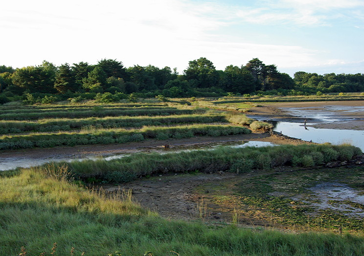 Presqu’île de Rhuys, old salt pans