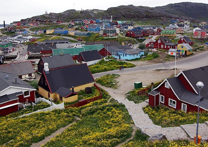 Qaqortoq And Dandelions