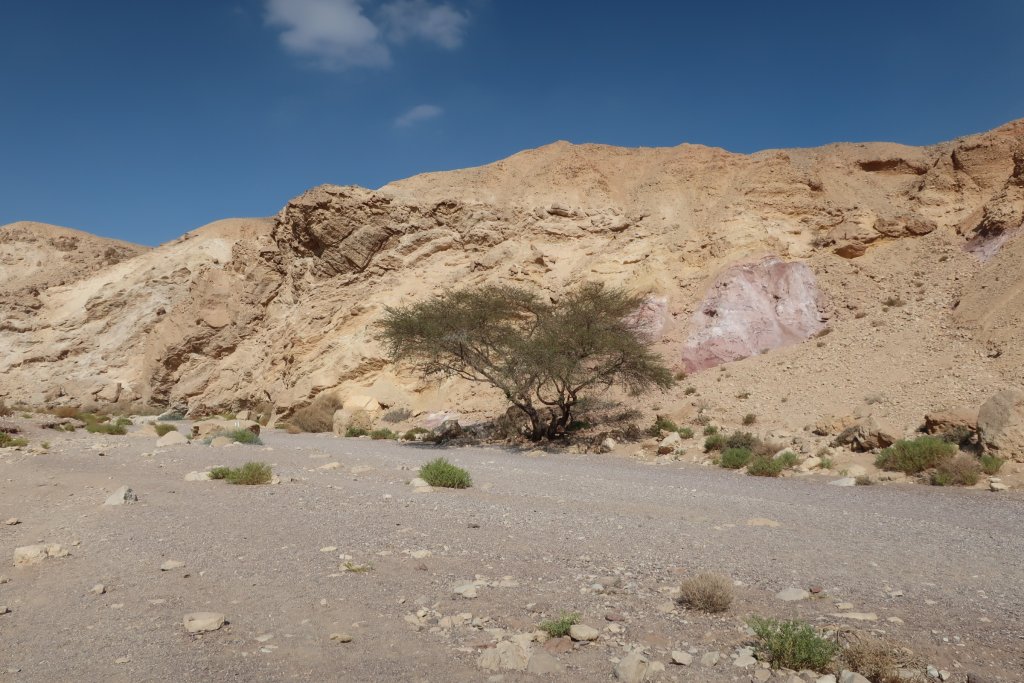 Red Canyon, Negev