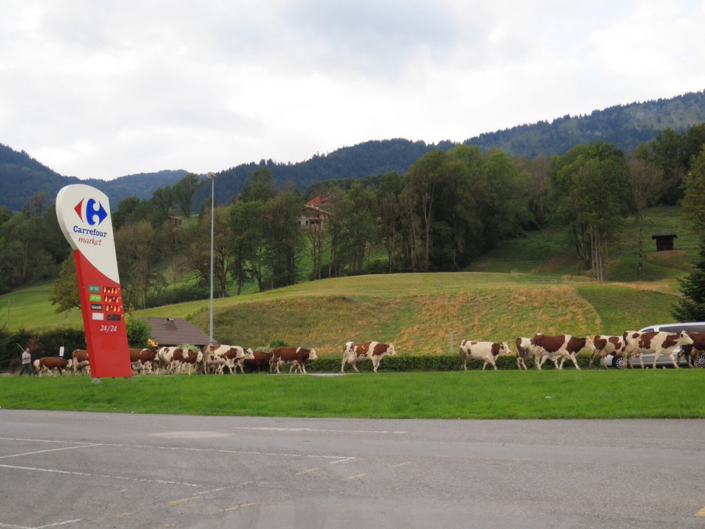 Rhone Alps - Samoens, French Alps