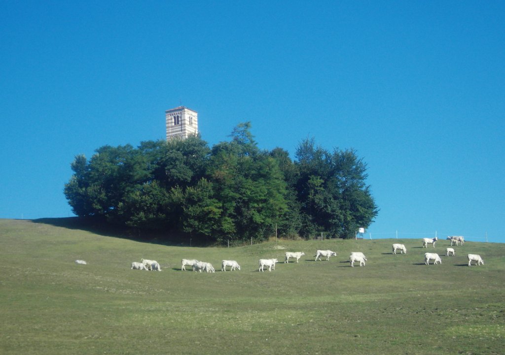 Romanic church of San Nazario e Celso XIIC.