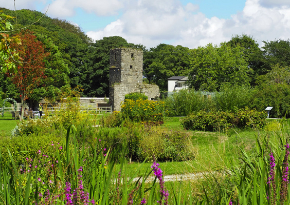 Rushen Abbey