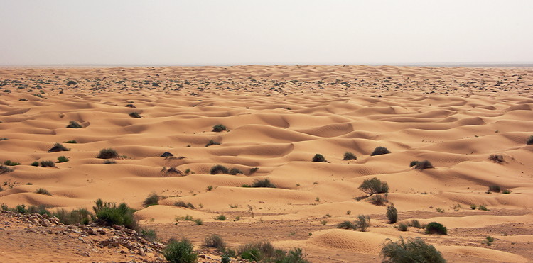 Sand dunes around Ksar Ghilane