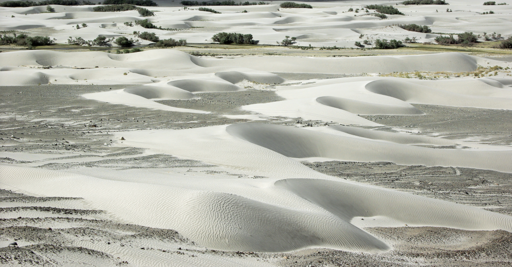 Sand dunes in the Nubra valley