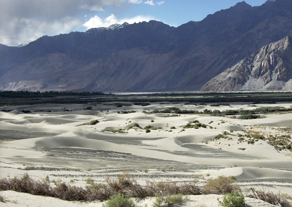 Sand dunes in the Nubra valley