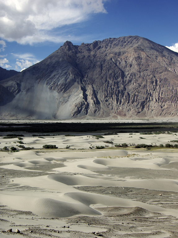 Sand dunes in the Nubra valley