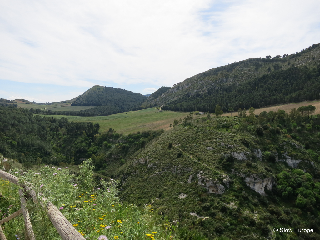 Segesta