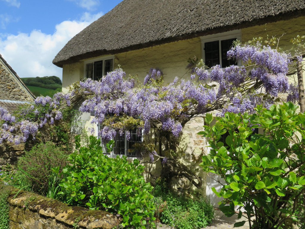 Stoke Abbott, Dorset