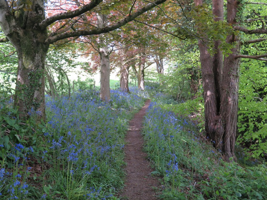 Stoke Abbott, Dorset