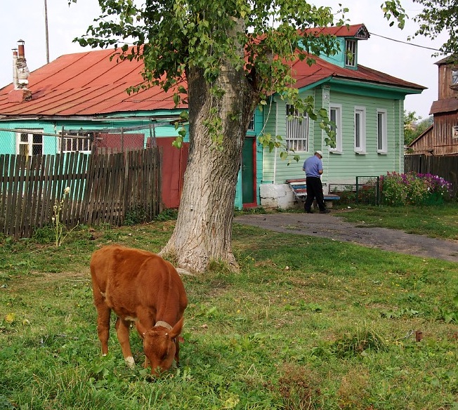 Suzdal