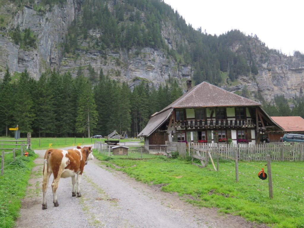 Swiss Alps - Kandersteg