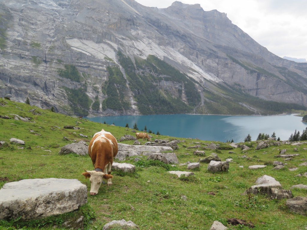 Swiss Alps - Kandersteg