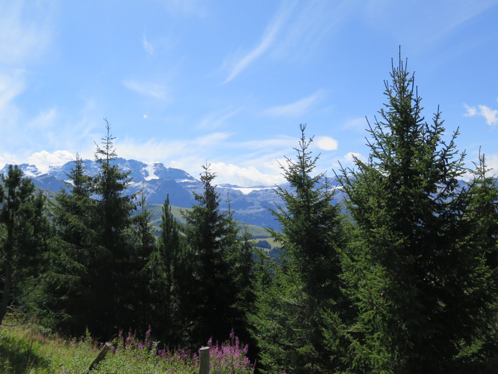 Swiss Alps - Lenk