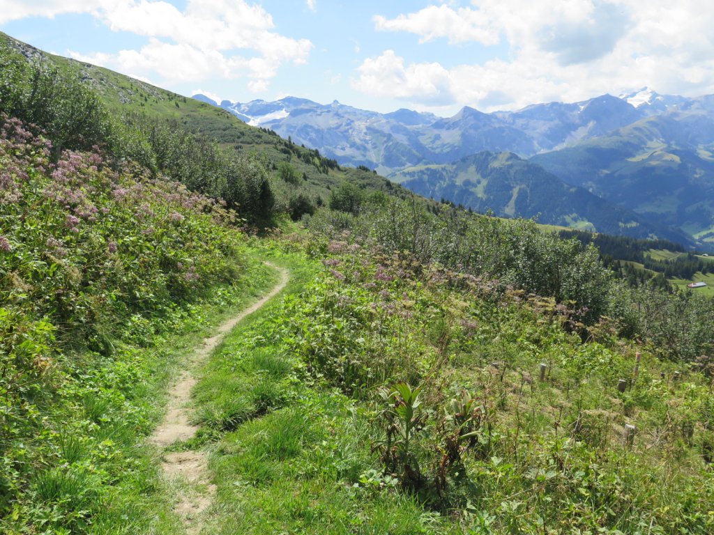 Swiss Alps - Lenk