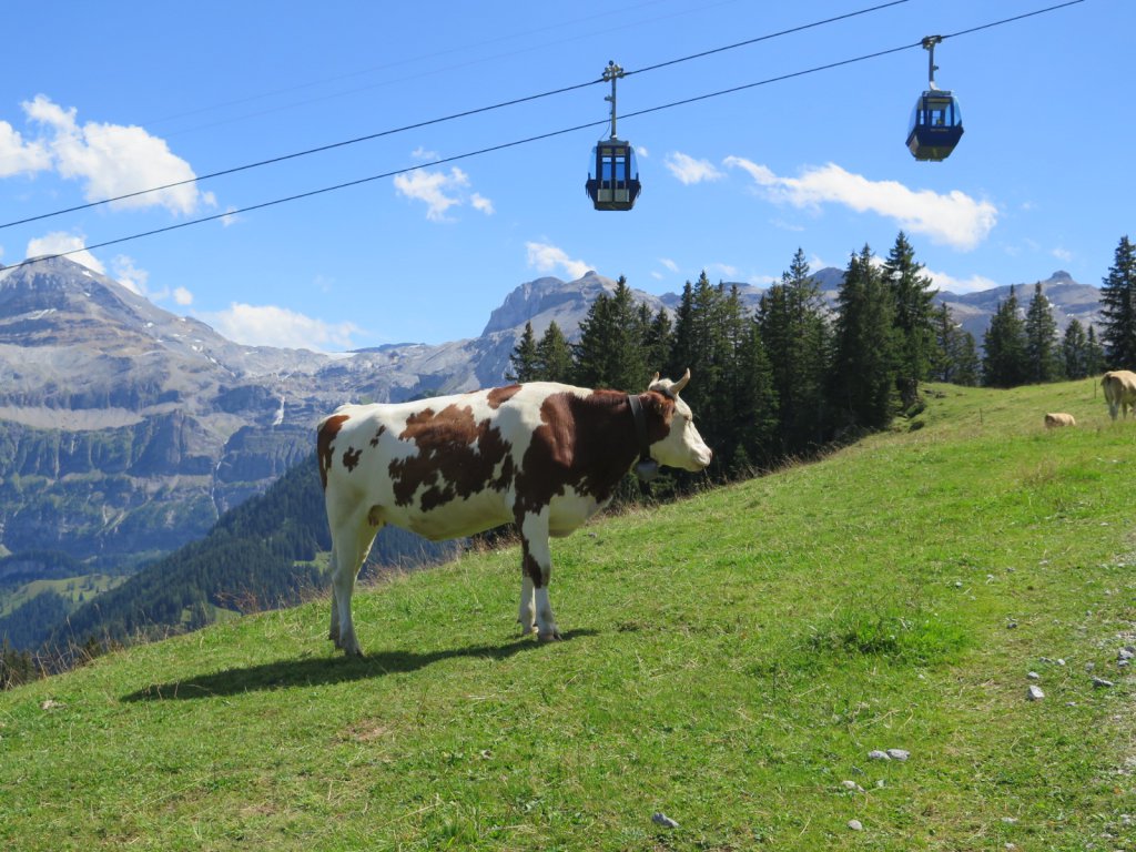 Swiss Alps - Lenk