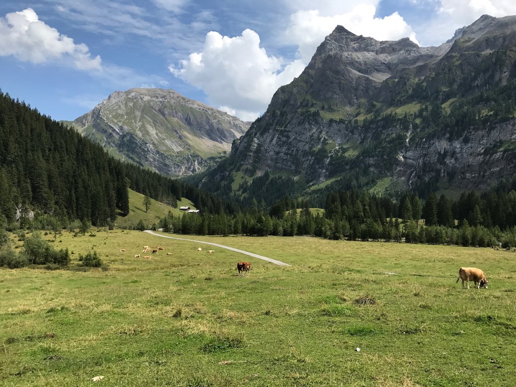 Swiss Alps - Lenk