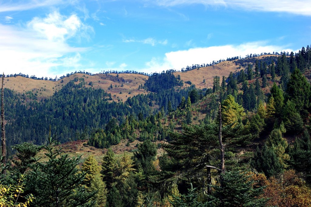 Tang Valley, Bhutan