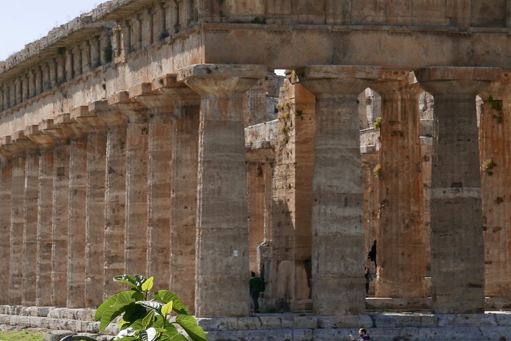 Temple of Neptune