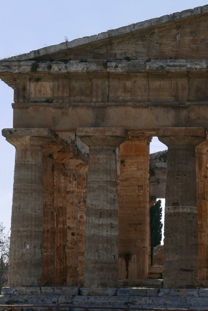 Temple of Neptune