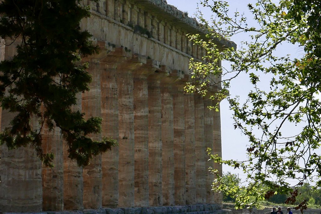 Temple of Neptune