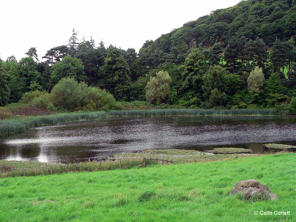 The College Valley in Northumberland