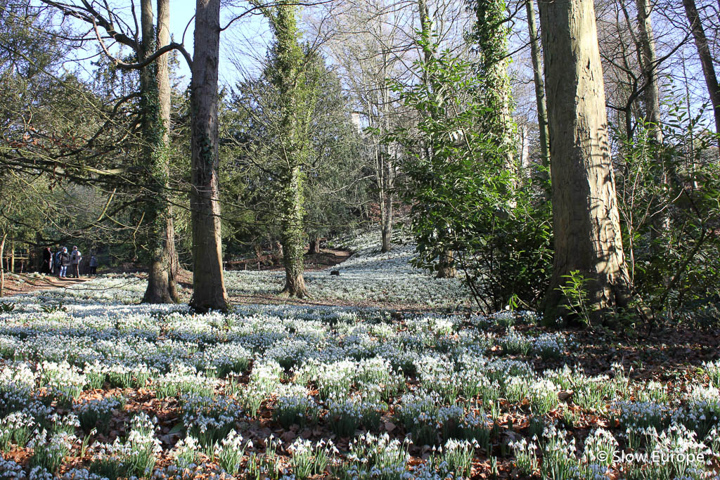 The Cotswolds - Rococo Gardens