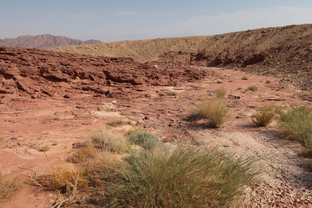 Timna Park in the Negev