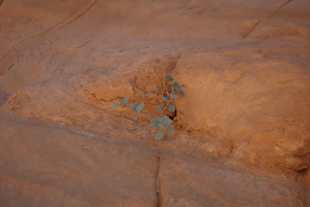 Timna Park, near Eilat