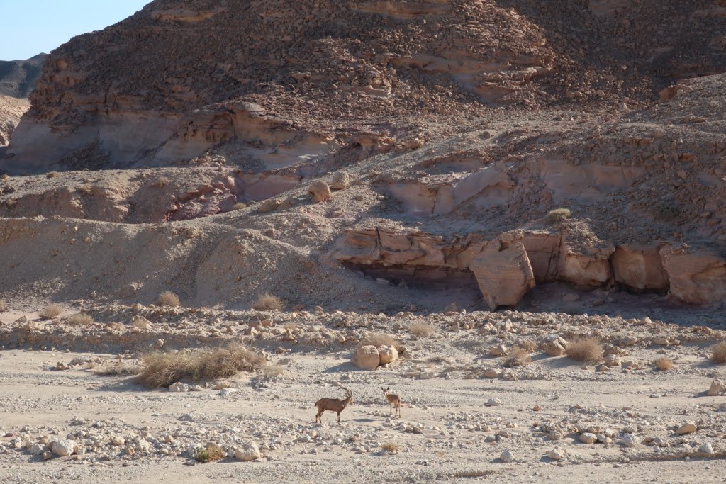 Timna Park, near Eilat