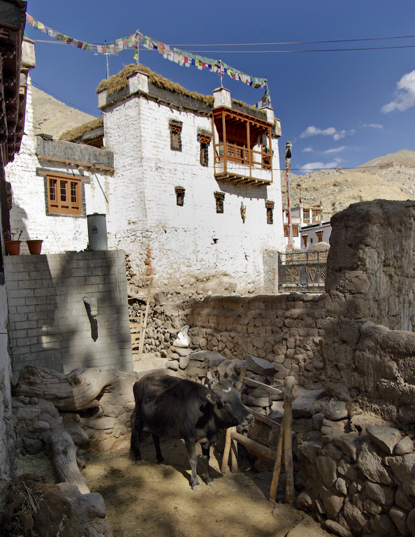 Traditional house, Chilling Village