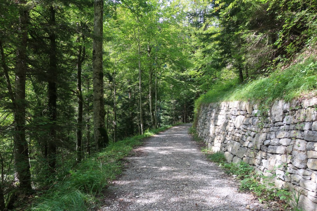 Trail to Weissenburgbad