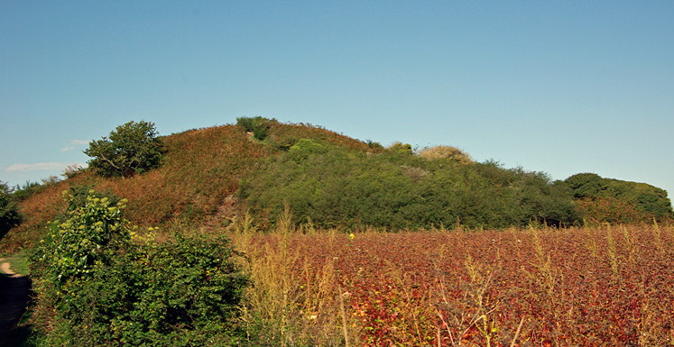 Tumiac Tumulus