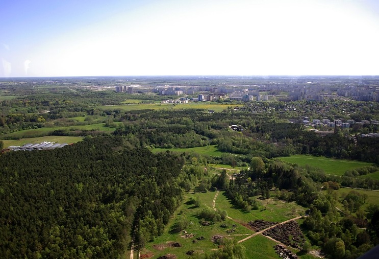 TV Tower View