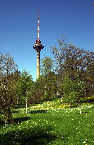 TV Tower