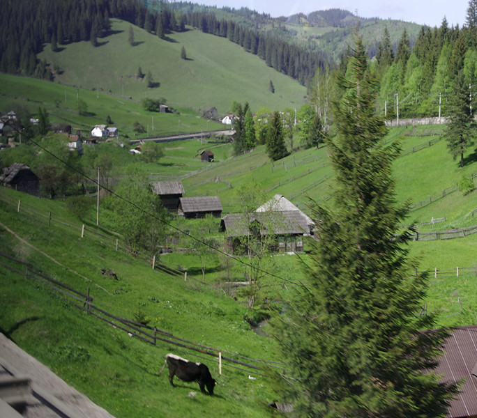 Upland pastures in the Carpathian Mountains