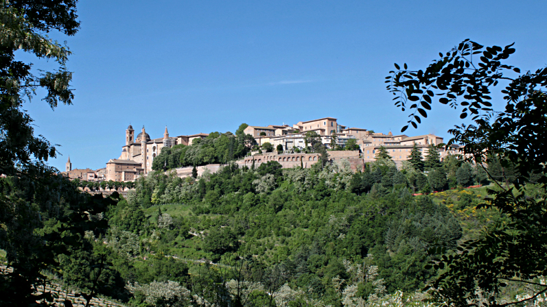 Urbino