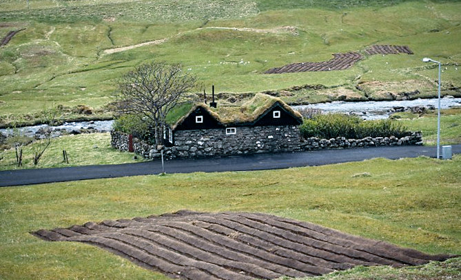 V1 Potato Fields At Sandavágur