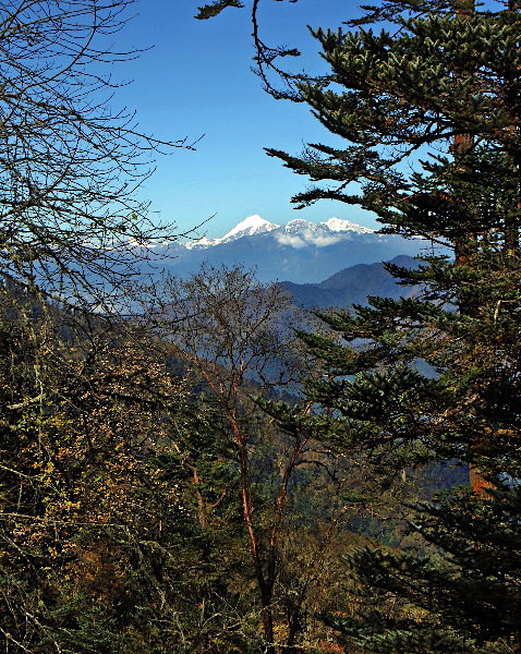 View from Lawala Pass, Bhutan