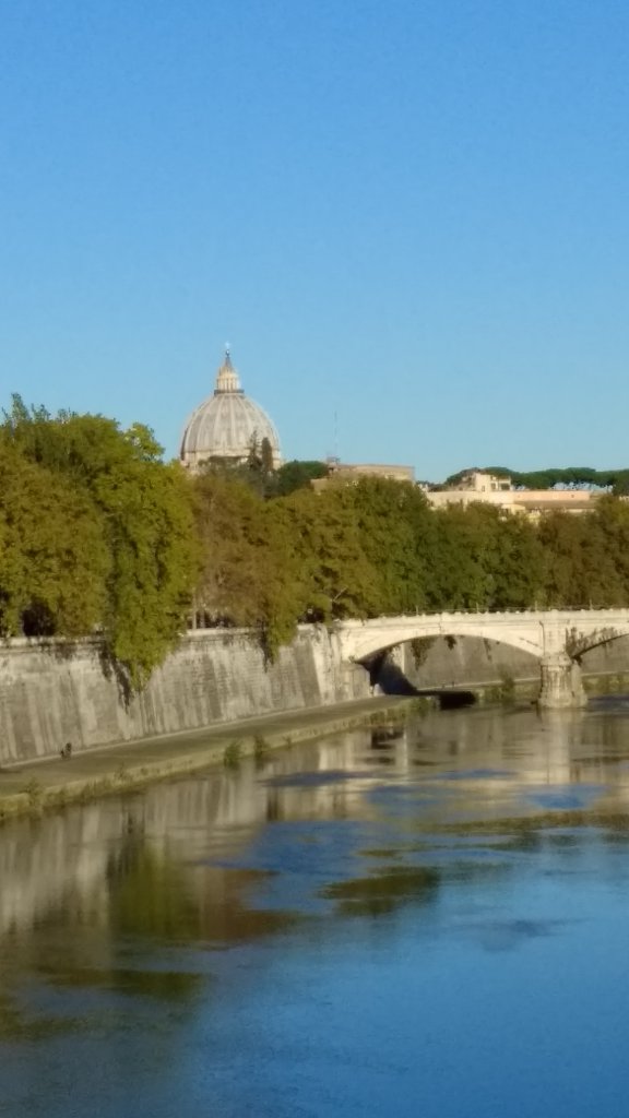 View from Ponte Sisto