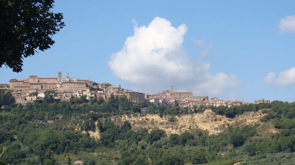 View from winery