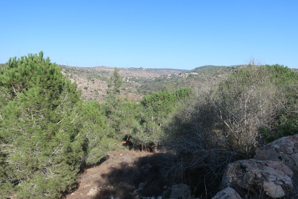 View of Judean Hills