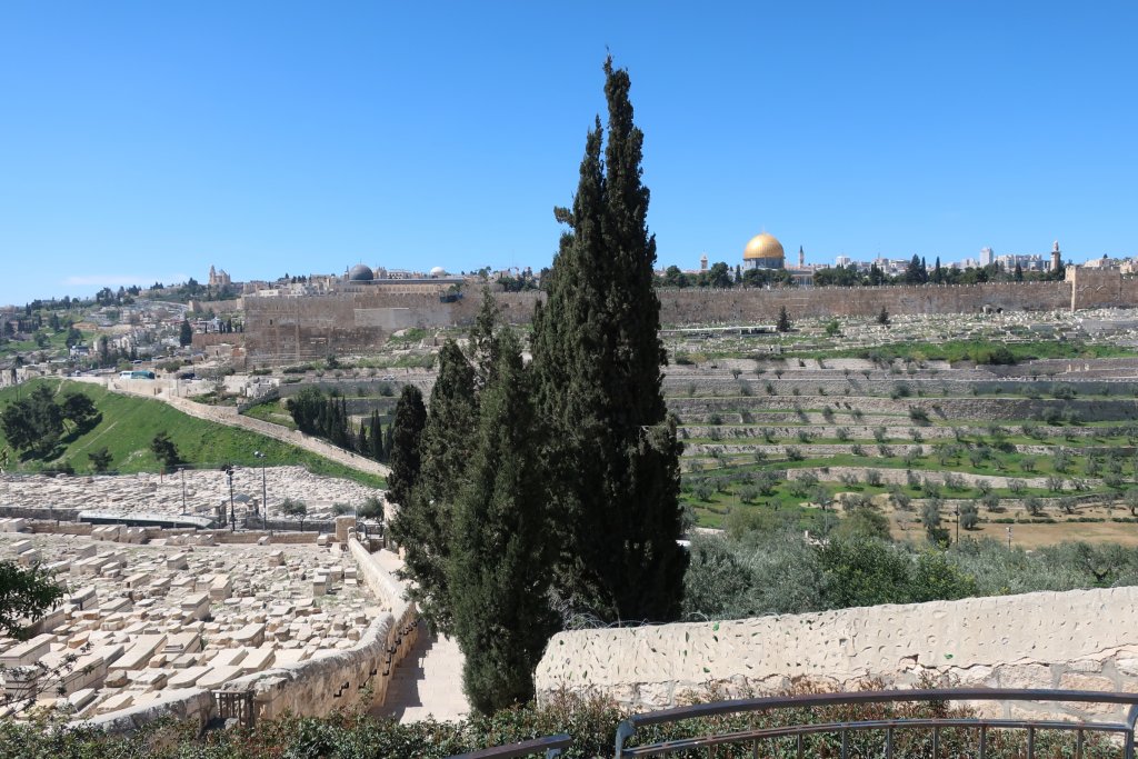 View of olive groves and Temple Mount