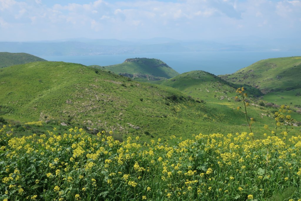 View of Sussita (Hippos)