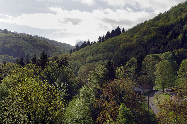 View towards Montségur from our cottage at Montferrier