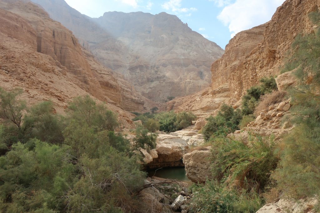 Wadi Arugot, Ein Gedi